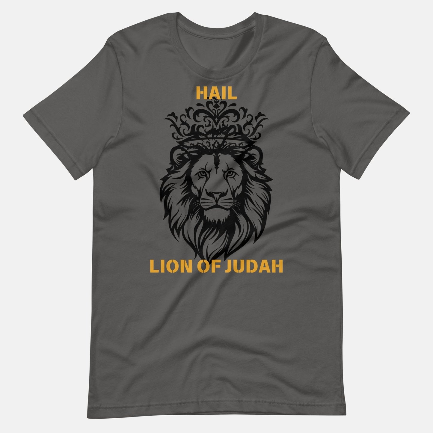 'Hail Lion of Judah' - unisex t-shirt